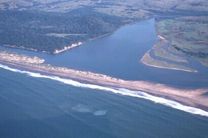 At times the Inyoni and the Matigulu (Amatikulu) separate to form two separate estuaries.