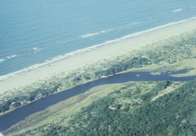 The Inyoni part of the estuary. At times the Inyoni and the Matigulu (Amatikulu) separate to form two separate estuaries.